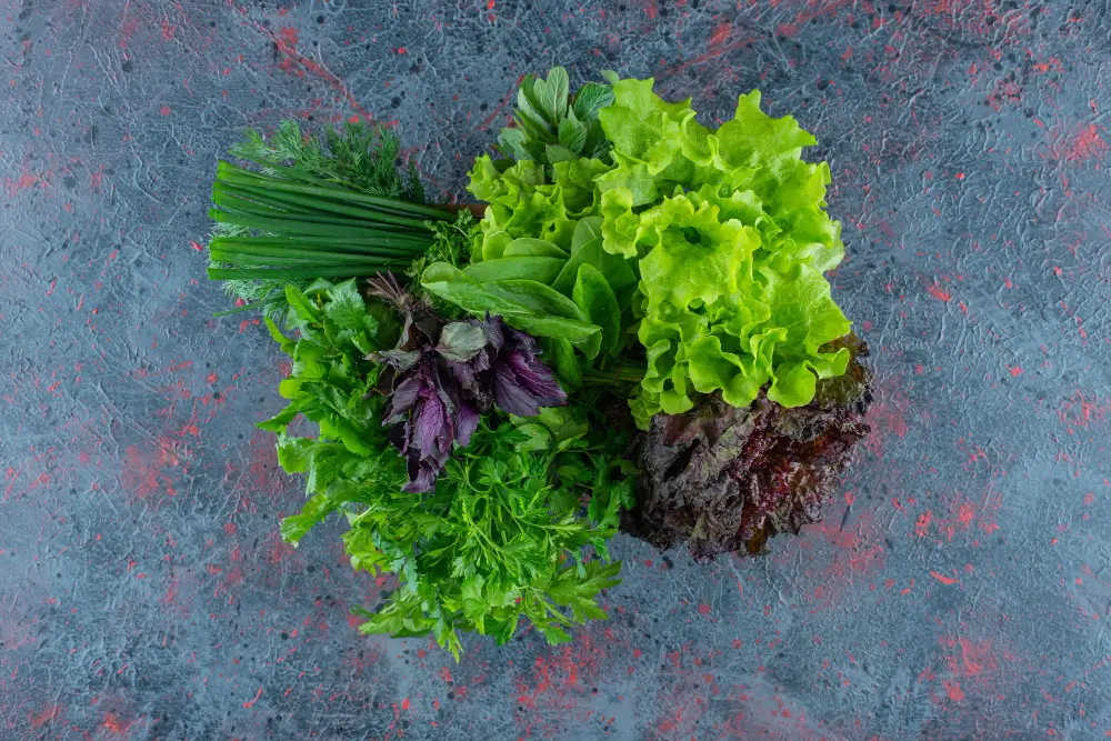 A plate of fresh greens, including spinach and other vegetables that promote healthy teeth. Visit our Dentist Clinic in Satwa at National Medical Center, UAE for expert dental care